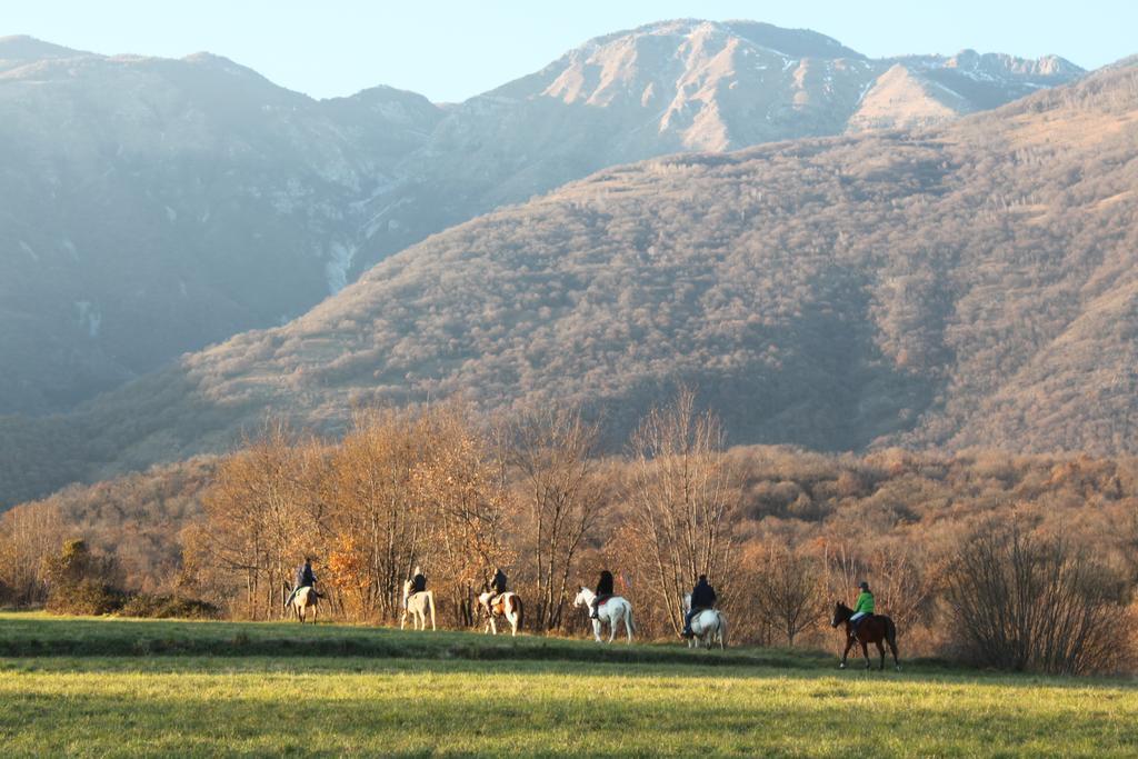 Agriturismo Al Ranch Villa Castello dʼAviano Exterior foto